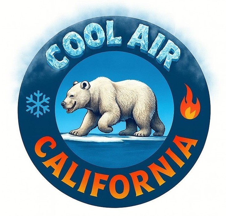 WhatsApp Image 2026-03-13 at 3.36.25 AM